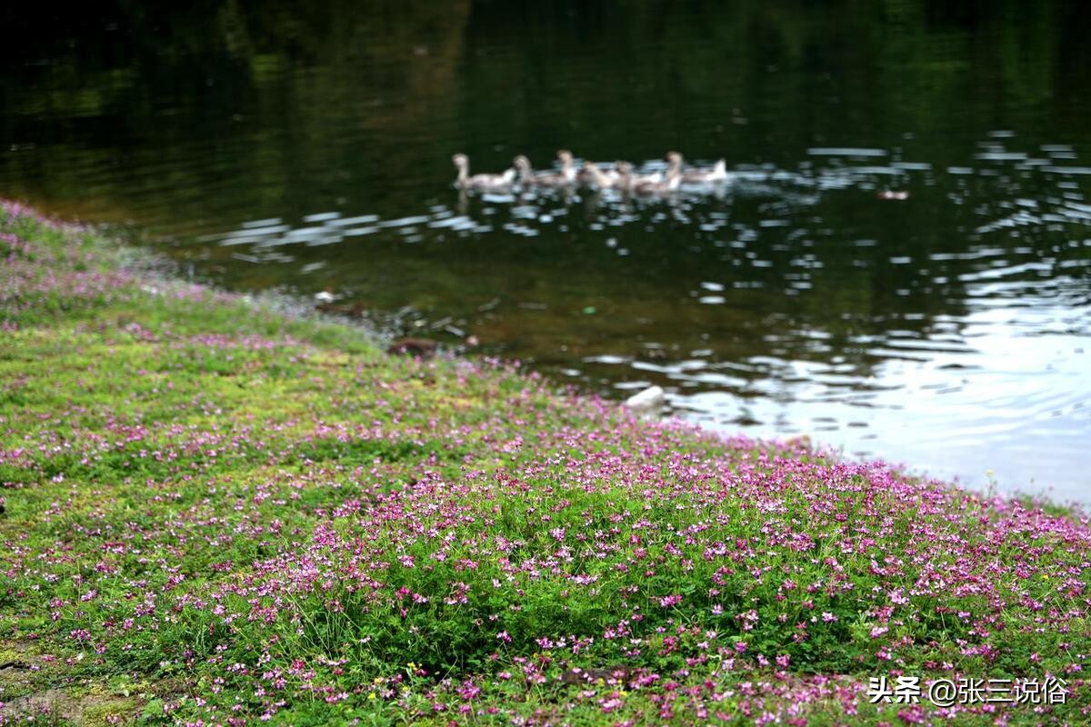 明天立夏，老话说“立夏有三象，必定生灾殃”：三象分别指啥？