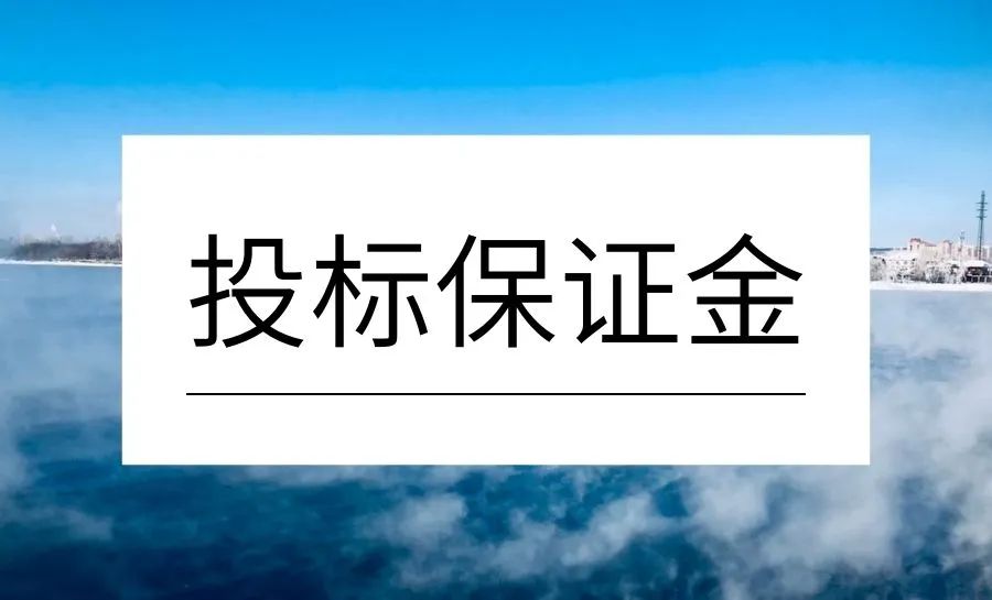投标保函和投标保单的区别,投标保函和履约保函啥区别
