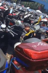 “是小蛇出了轨，还是青蛙劈了腿？”这是现实版的美杜莎？哈哈