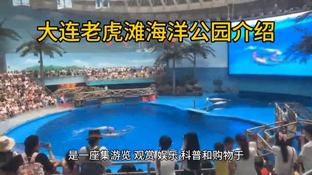 大连老虎滩海洋公园极地馆,大连老虎滩海洋公园老年票