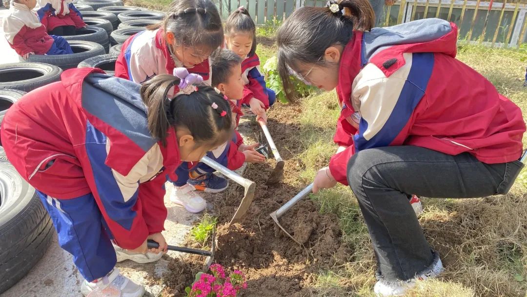 洪雅县第四幼儿园叫什么名字,洪雅第四幼儿园在哪里