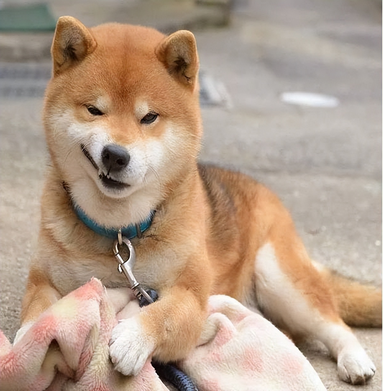 尴尬！《今日美国》杂志：中国足球的复兴将由妇女和女孩来引领