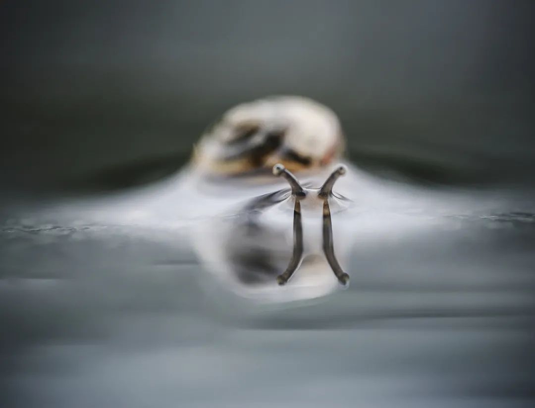 摄影师于海童​：尼康Z9基本满足了我在照片与视频领域的所有需求