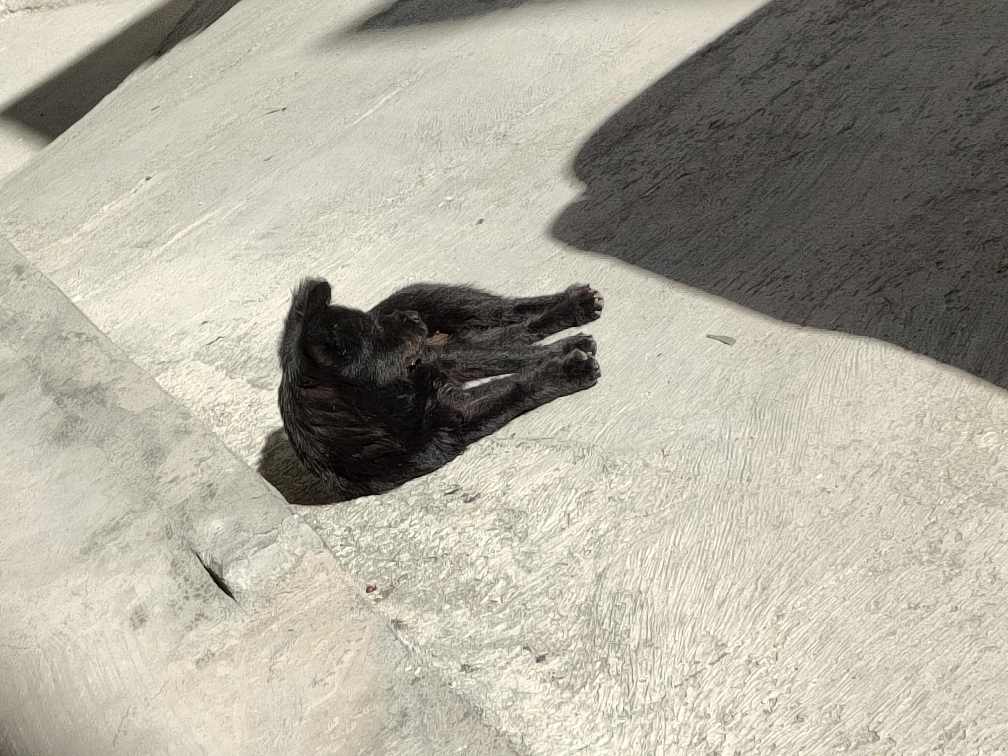 她们赚钱咋这么会