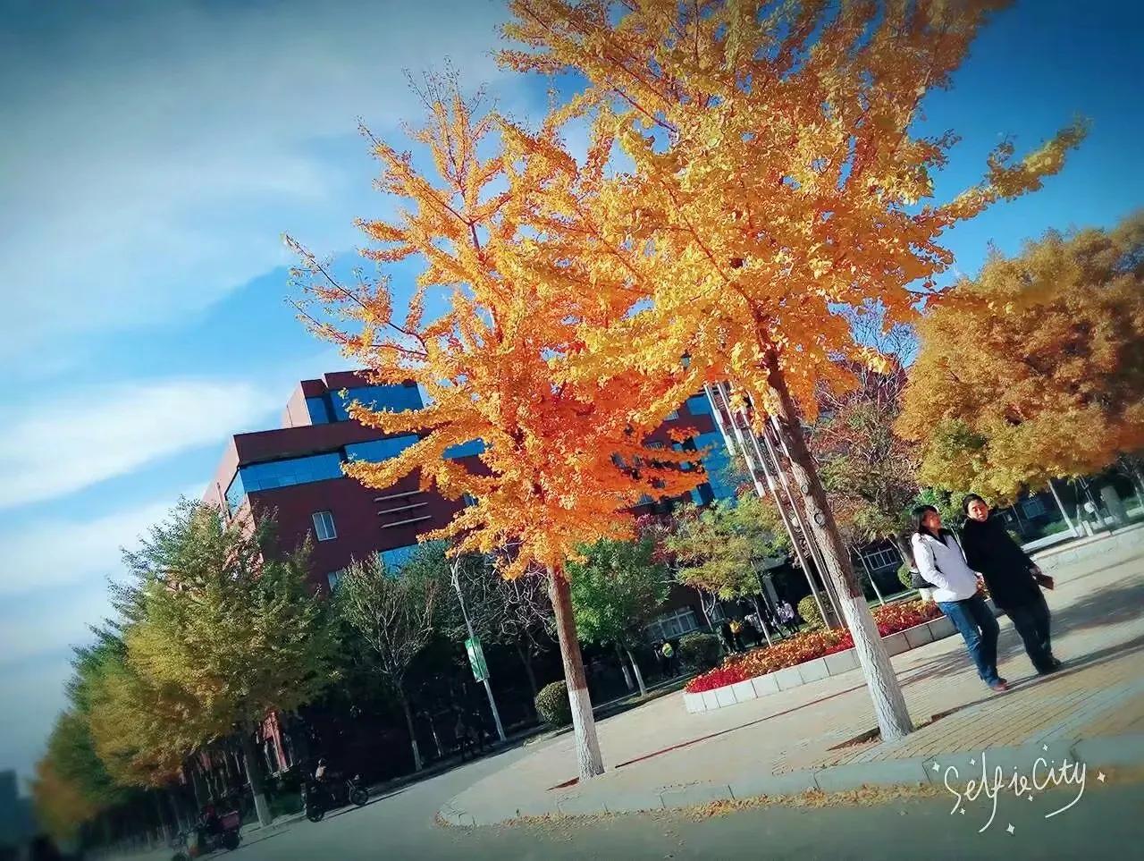 我的母校我的家乡,回母校宣传沈阳师范大学