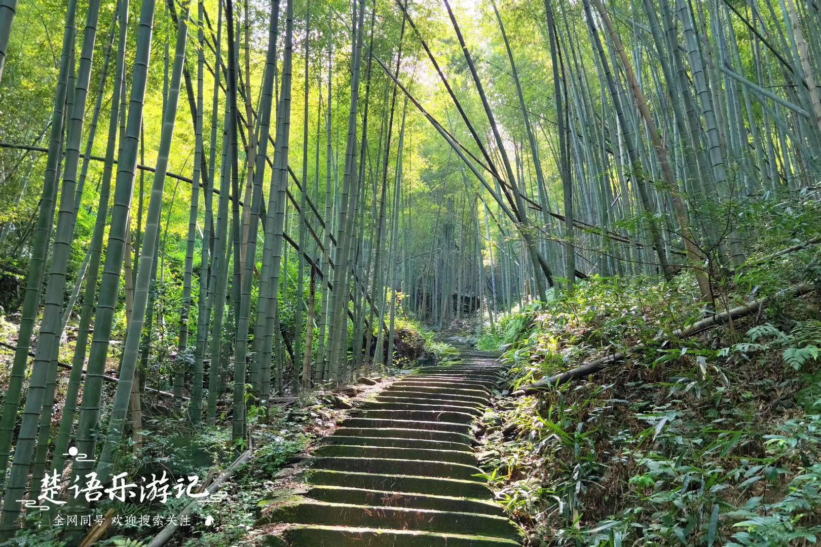 宁波山区风景余姚,宁波八公里长溪汇聚几十处风景