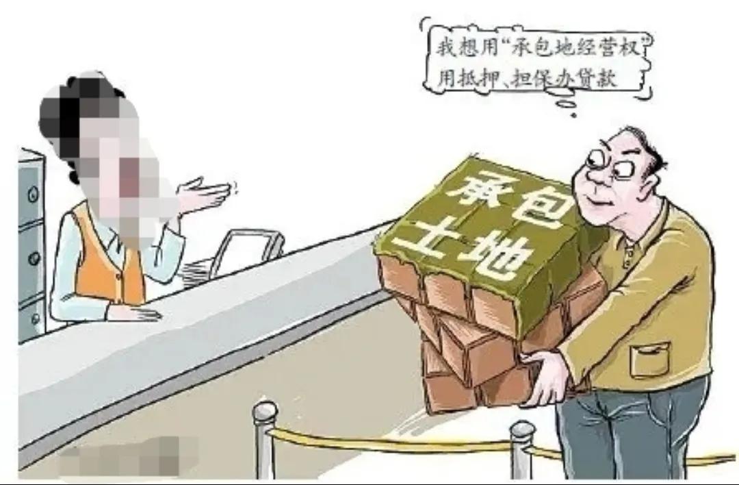 郑贷‖今天谈谈冷门的农村土地抵押*款贷**？