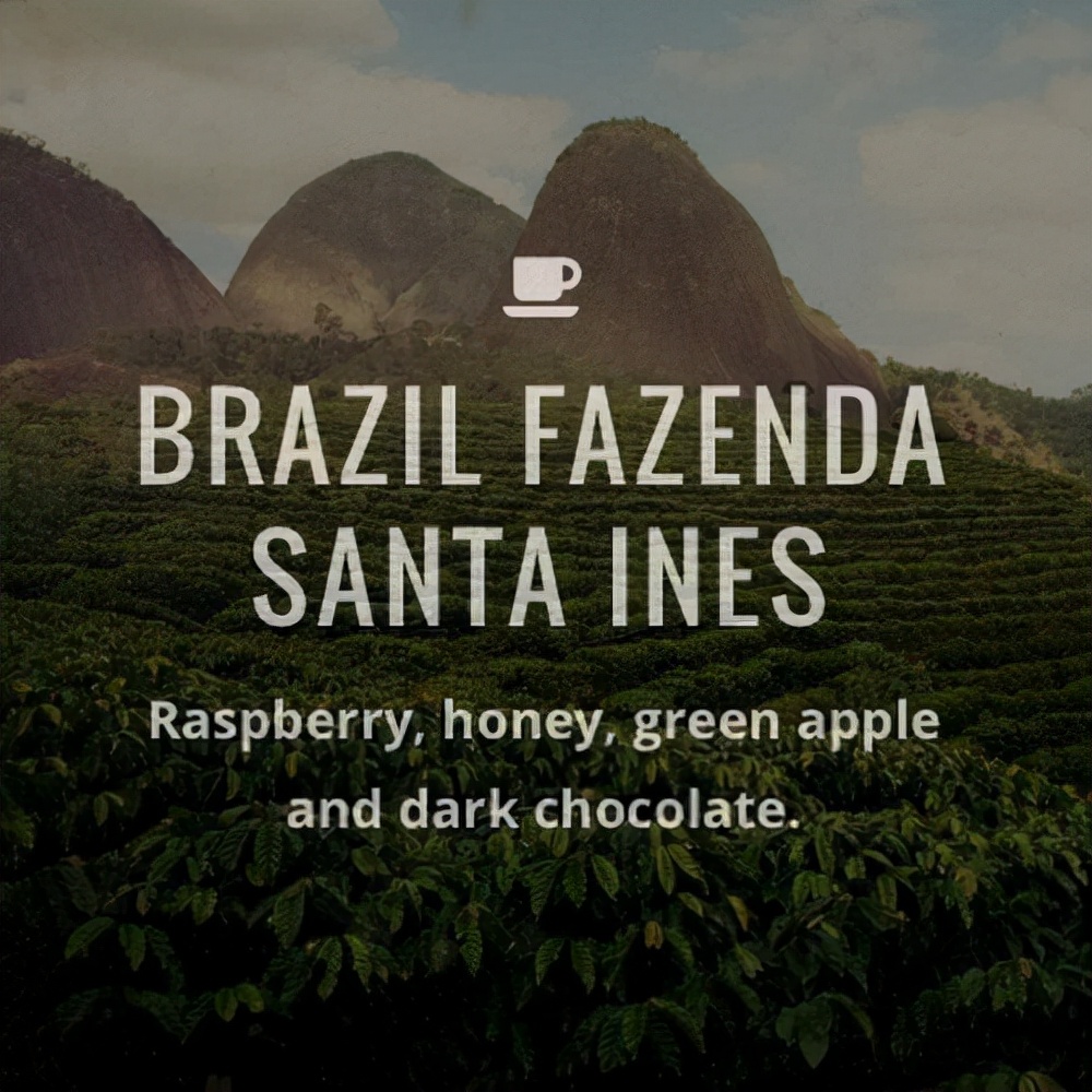 最贵的咖啡猫屎咖啡,最贵的咖啡是什么牌子