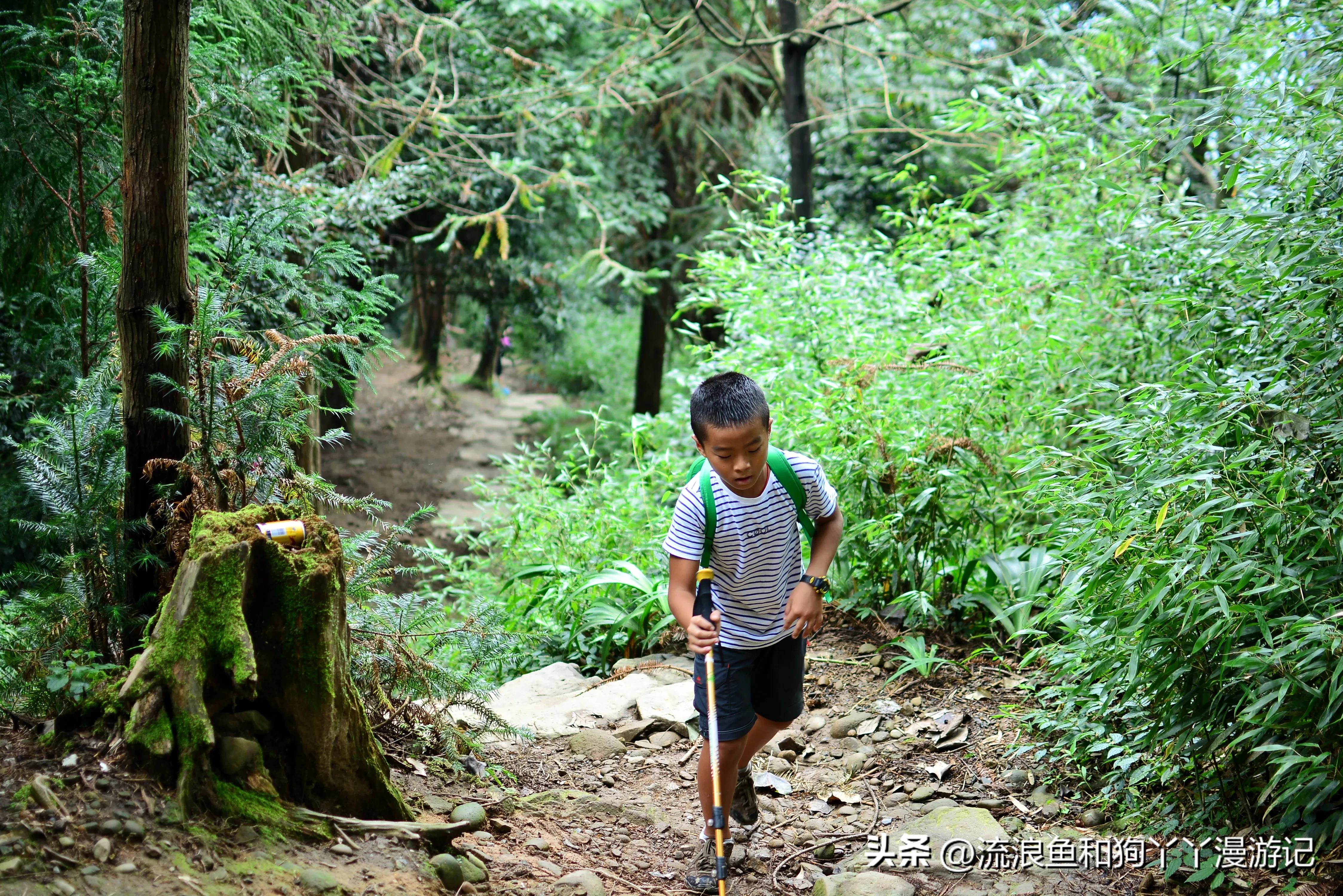 四月份成都近郊一日游好去处,2022成都近郊看雪一日游最佳去处