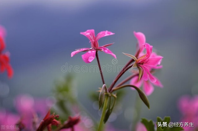 额头皱纹是怎么产生的,50岁后额头上的皱纹产生的原因