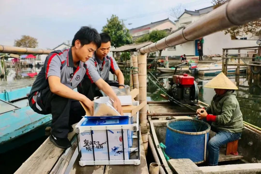 菜鸟顺丰之争京东为何支持顺丰,顺丰京东菜鸟发展现状