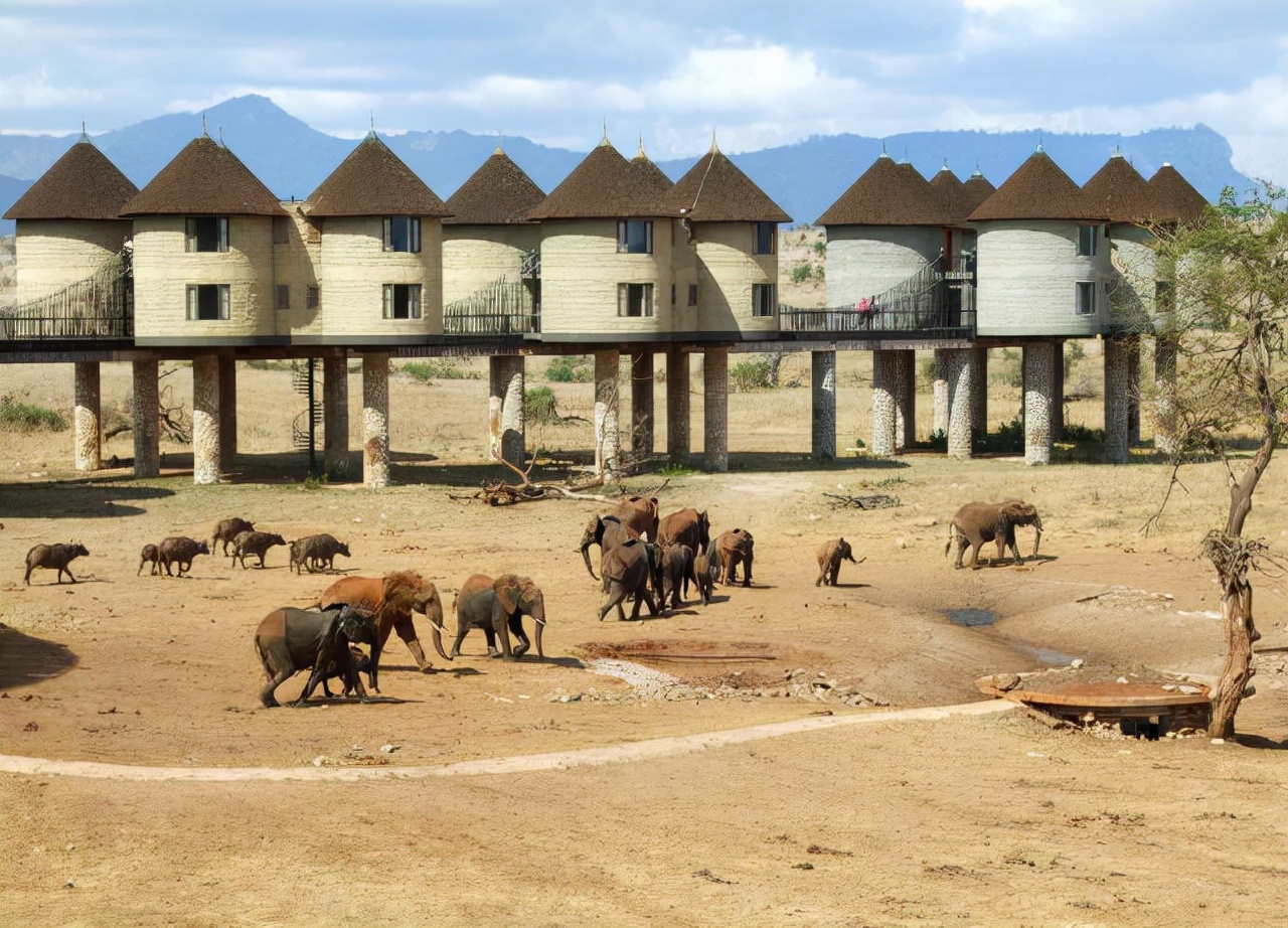 80张神奇偶然瞬间，环形闪电，海蛇和最毒石斑鱼互咬，骑骆驼拍照