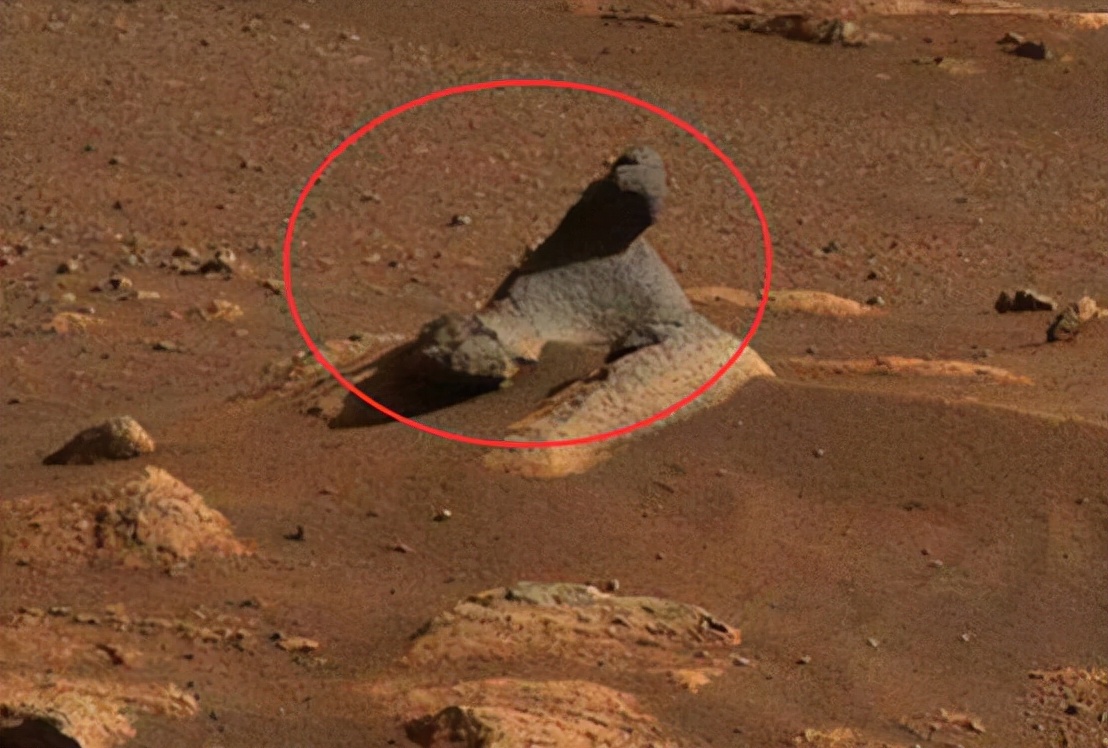 玉兔二号月球背后发现神秘小屋,玉兔二号在月球上发现的神秘小屋