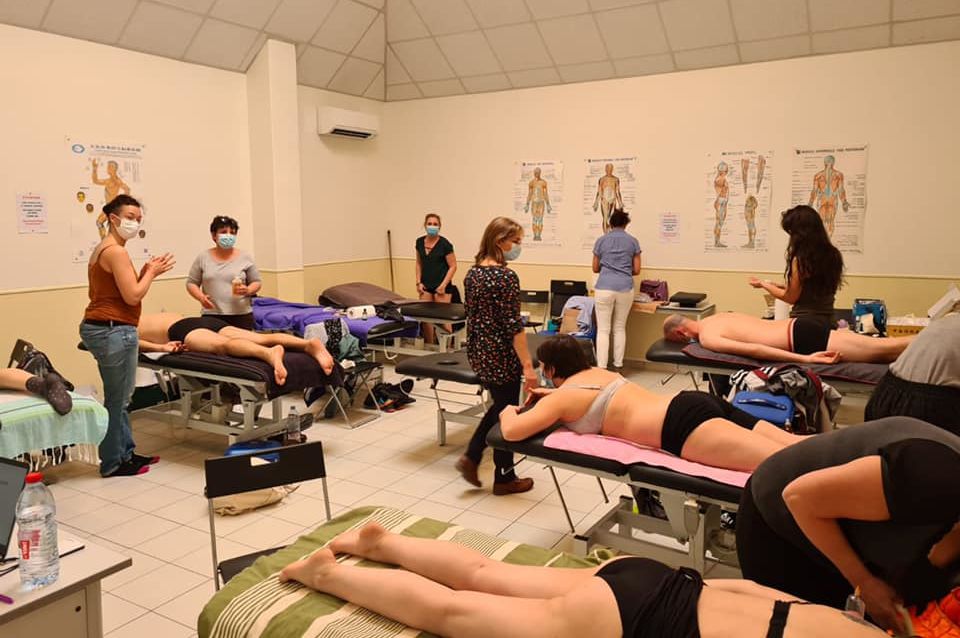 法国的国宝级老中医,中医药治老狗