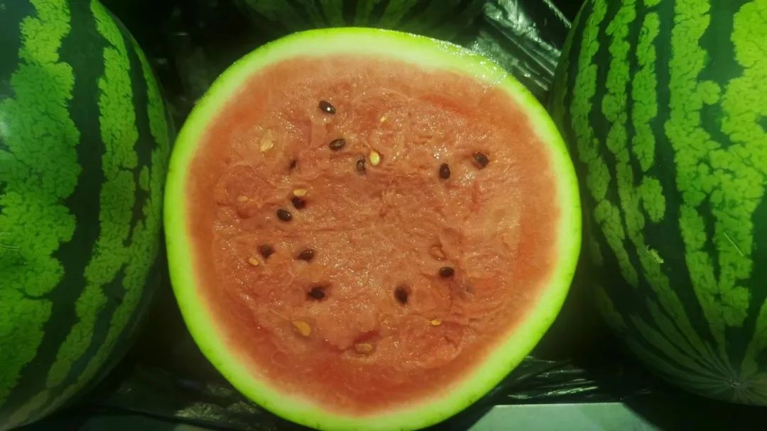 西瓜糖分高为什么糖尿病人可以吃,糖尿病人吃消暑西瓜