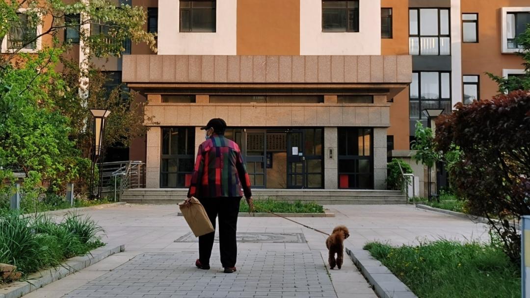 养狗人的视频,养狗人皮肤过敏的症状和表现