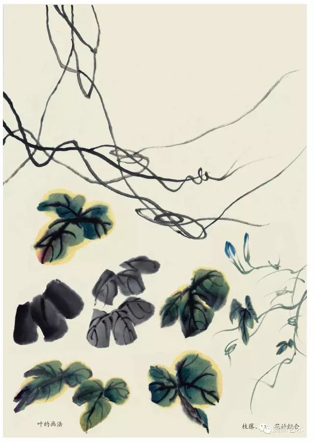 写意丁香花画法,写意鸡冠花的画法教程