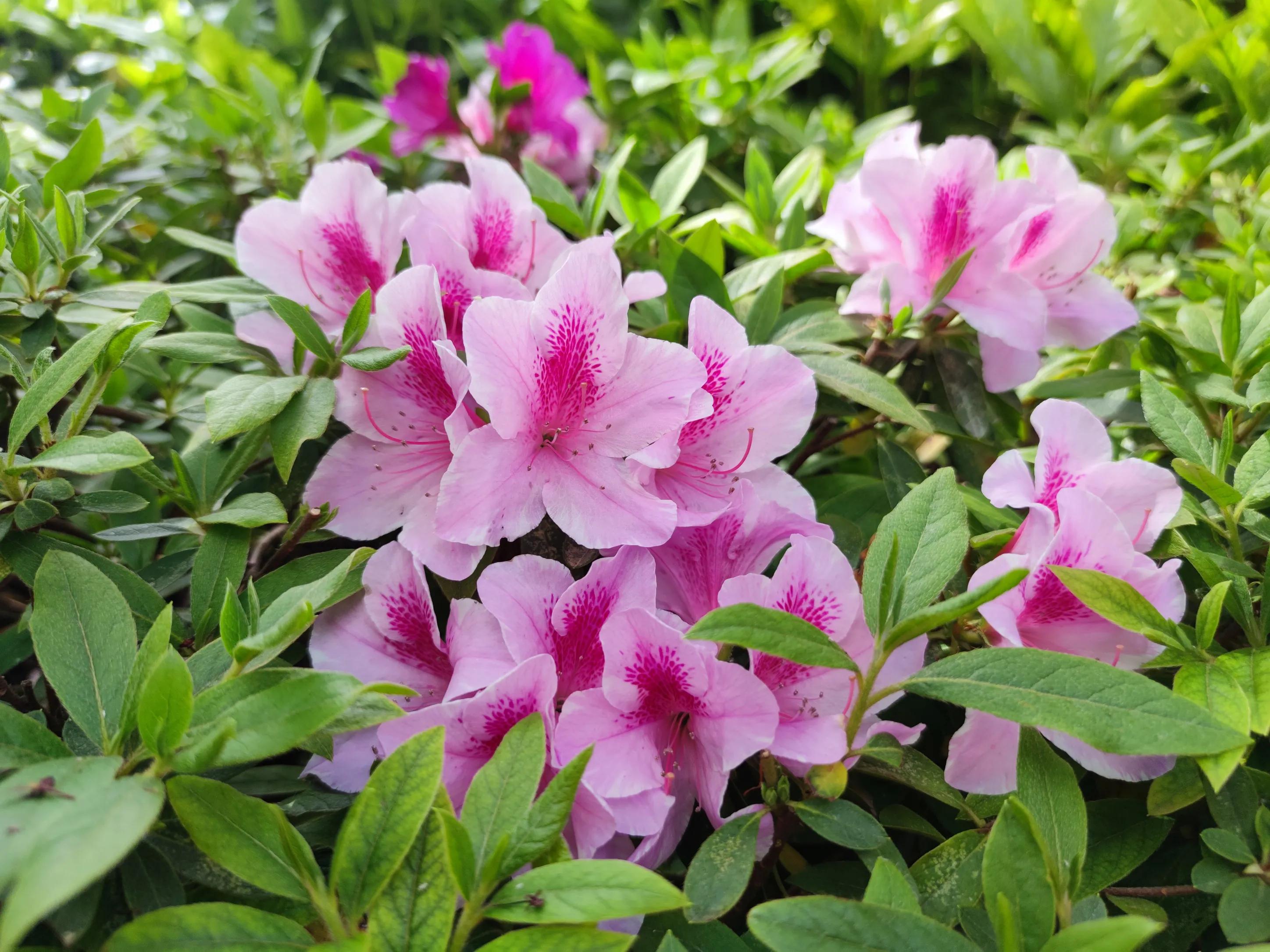 高考作文思路点拨,高中万能高分作文记叙文