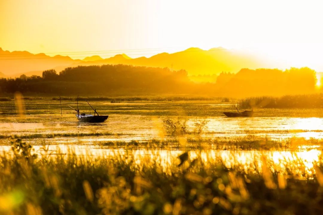 李煜菩萨蛮花明月暗笼轻雾,李白李煜最经典的十首词