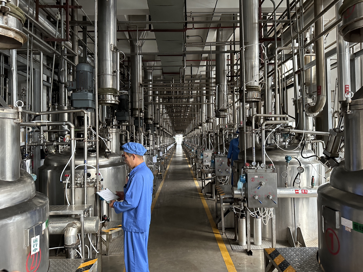 【聚焦第八届中医科学大会】罗浮山国药：传承创新中医药文化擦亮博罗“南药”品牌