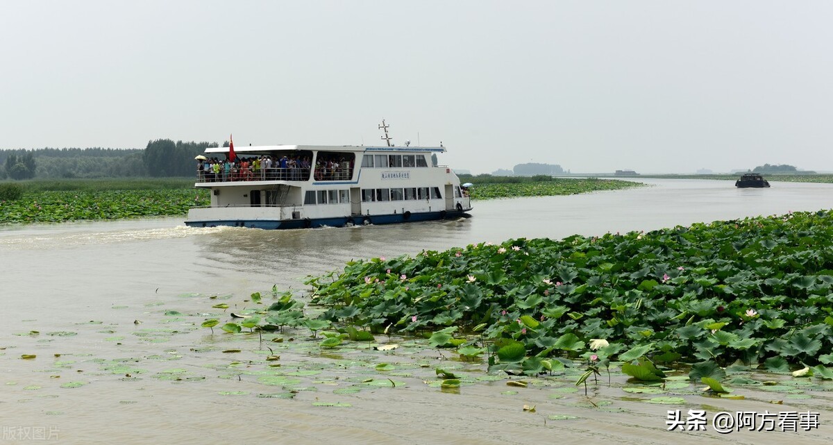 山东旅游推荐微山湖旅游区,微山湖5a景区