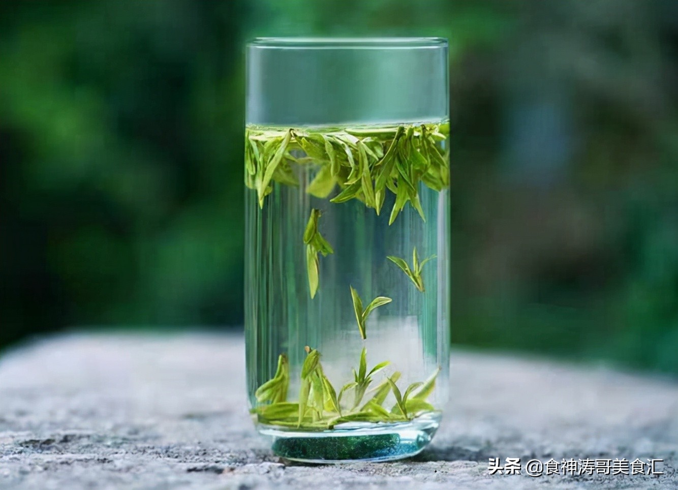 中国十大名茶最新排名普洱,中国十大名茶绿茶图片