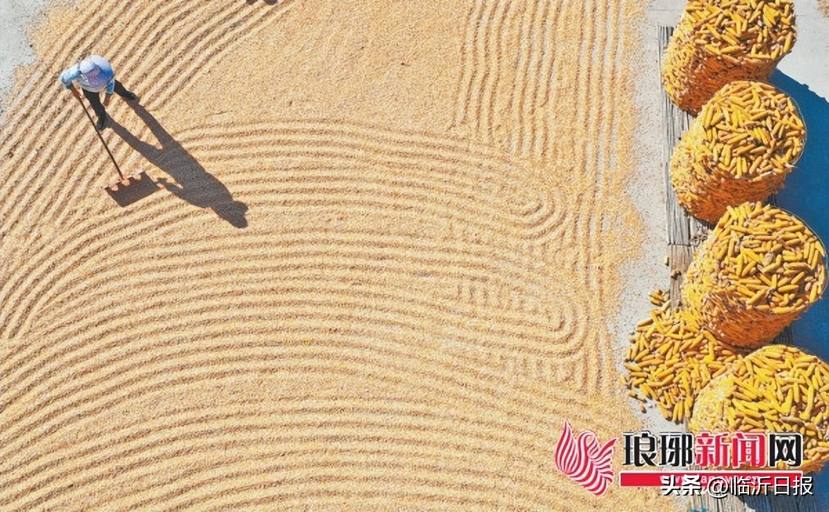 2022年临沂市拿下多个全国、全省第一！十大亮点凸显发展新活力