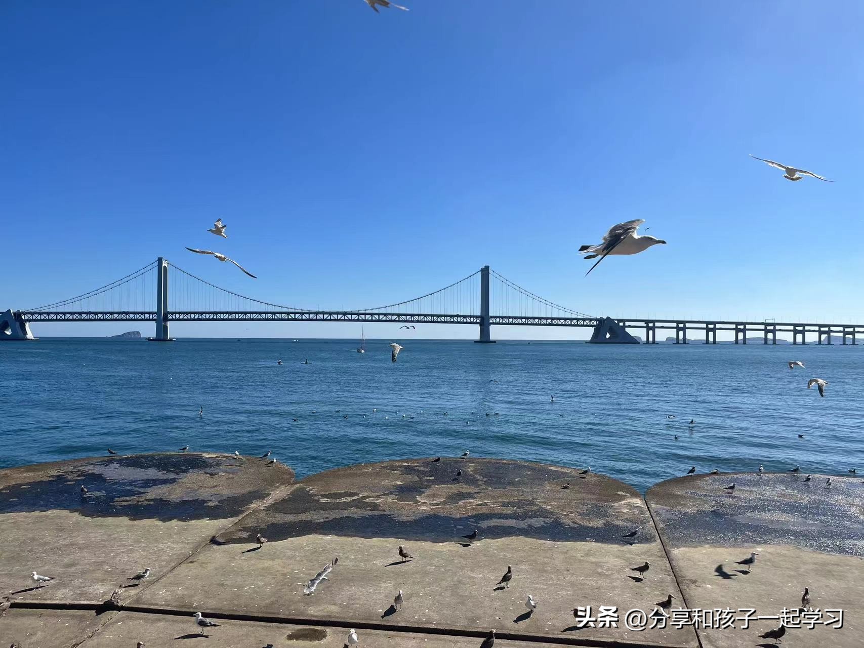 暑假带孩子去青岛还能去哪里玩,趁暑假带孩子去旅游