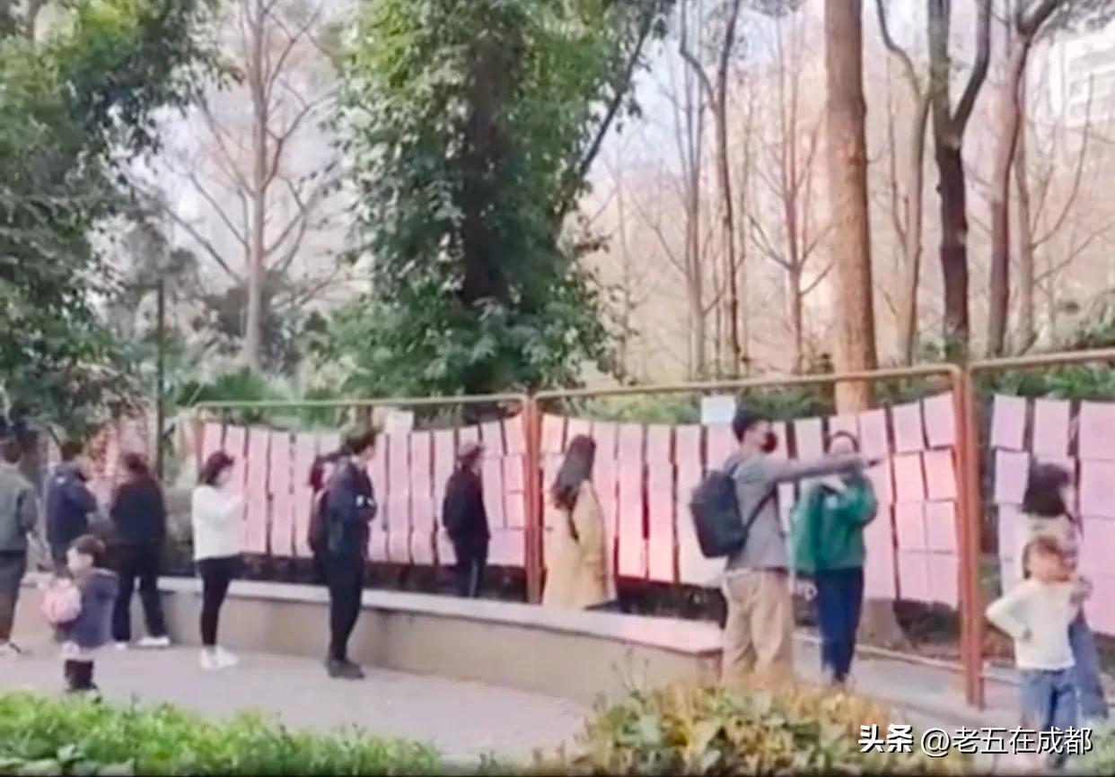 成都到布达拉宫旅游详细攻略,成都自驾张家界旅游详细攻略