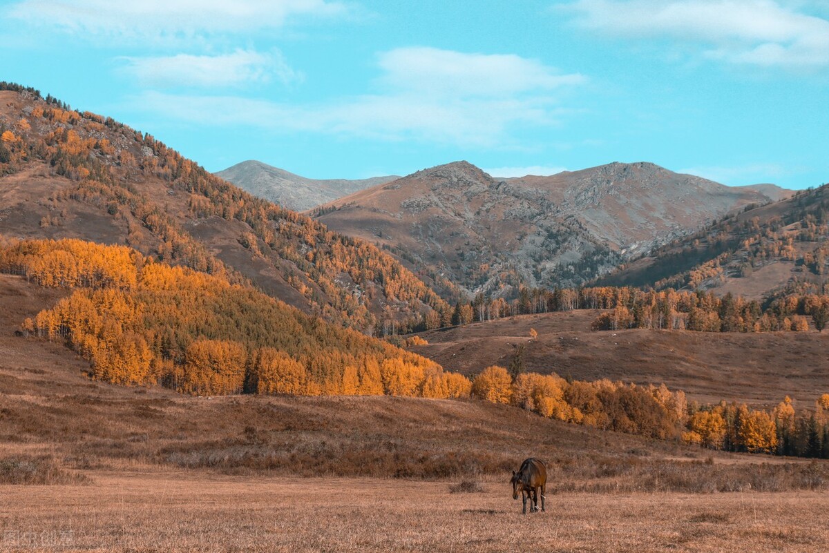 生命在尘世轮回,活着是一场灵魂的修行