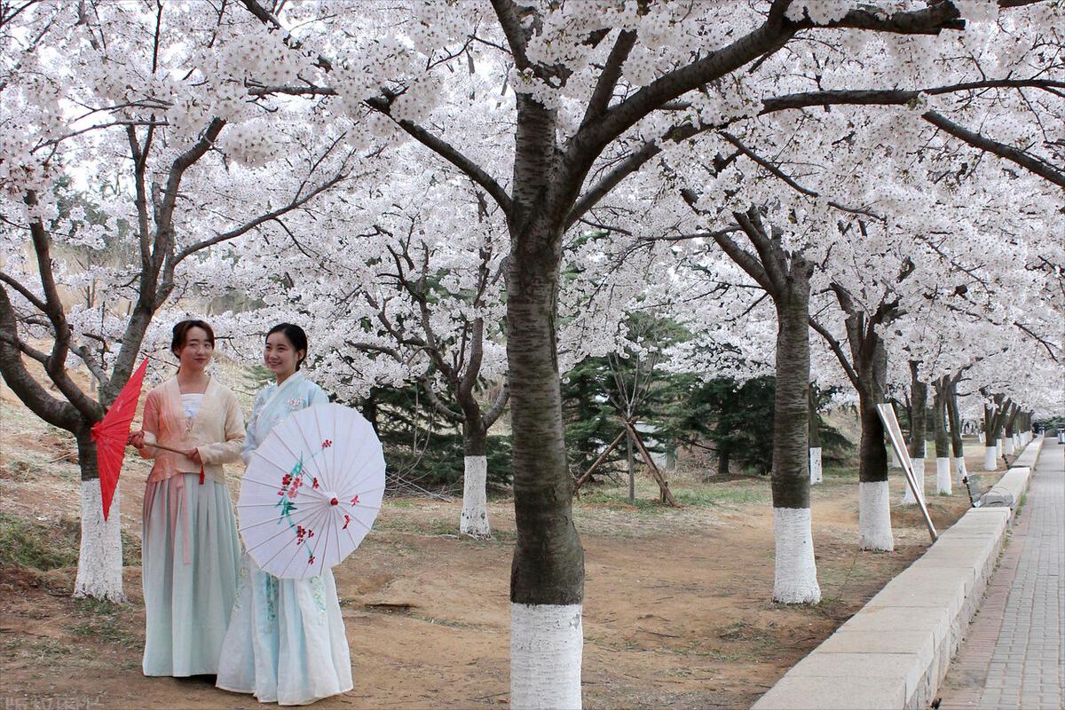 老话说:清明上坟3忌3做,子孙平安无忧无灾祸,3忌3做啥意思?