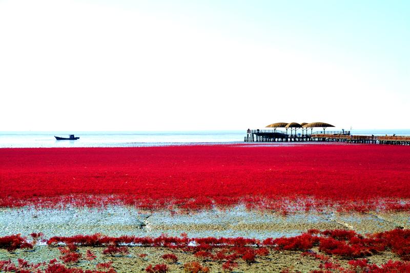 辽宁盘锦在哪个地方,去盘锦旅游哪里好