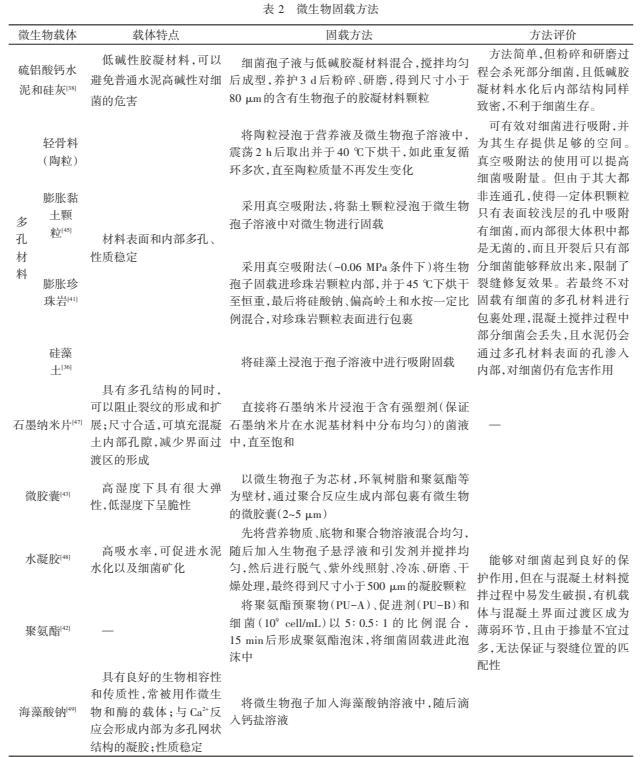 水泥自修复技术,微生物自修复水泥