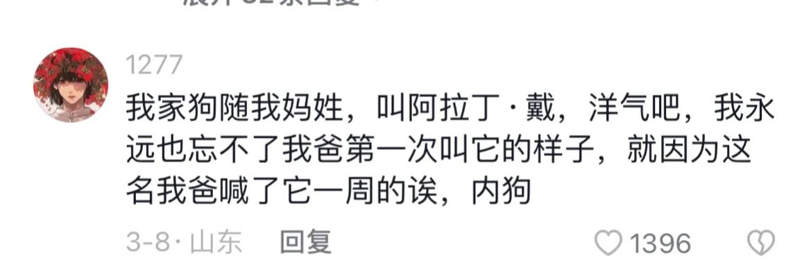 千万别给宠物取个名字,取一个仙气的宠物名字