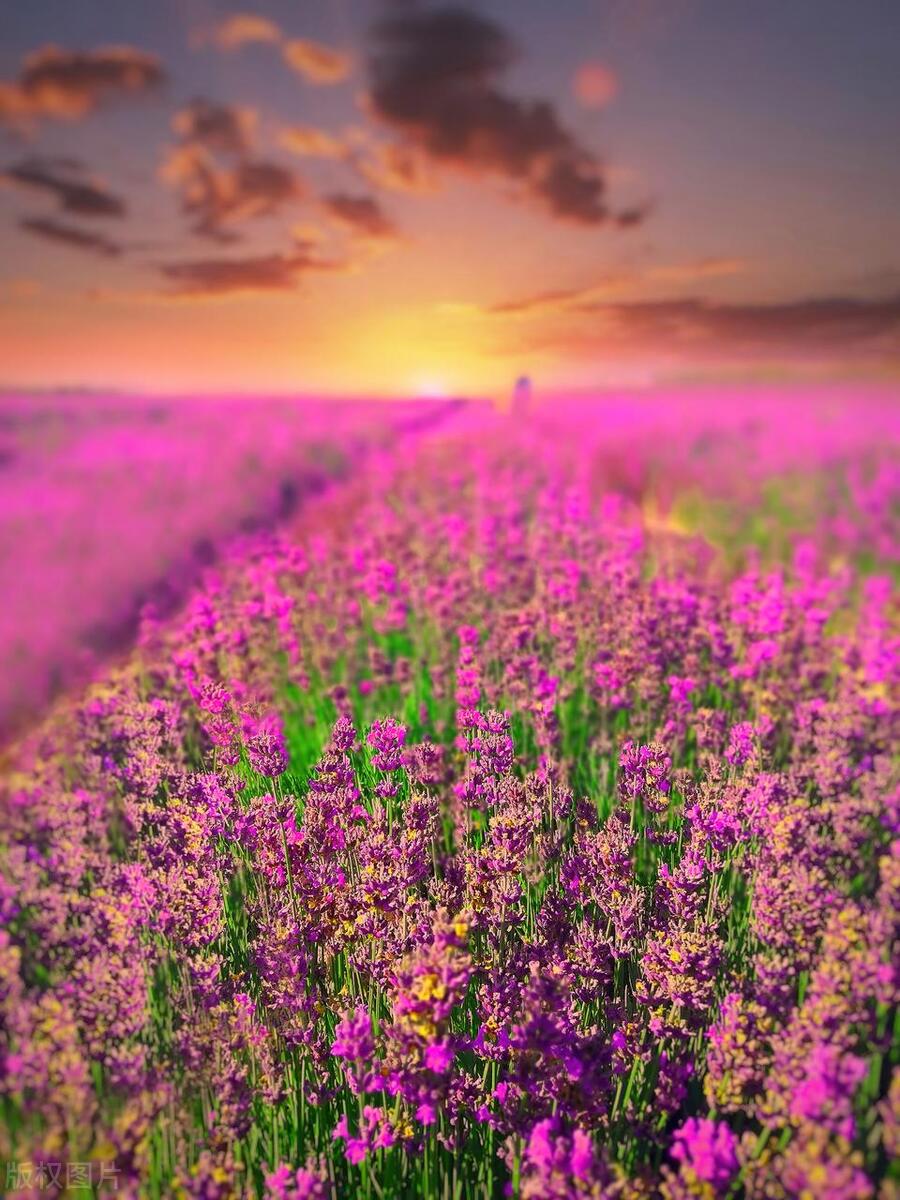 南北疆旅游最佳路线图,乌鲁木齐出发全疆旅游攻略