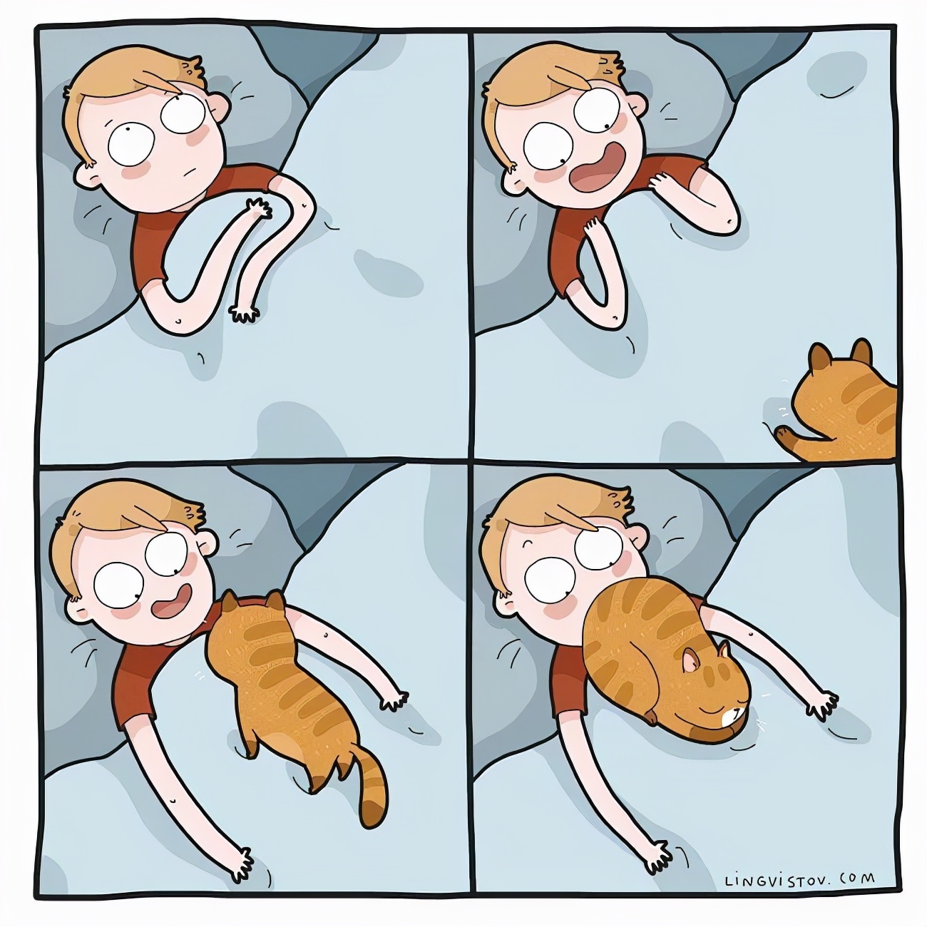 喵星人的那些事儿铲屎官漫画,猫咪铲屎官日常漫图