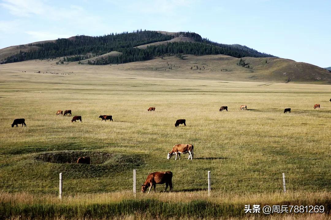蒙古国牛羊多少钱一斤,外蒙古国牛羊肉多少钱一斤