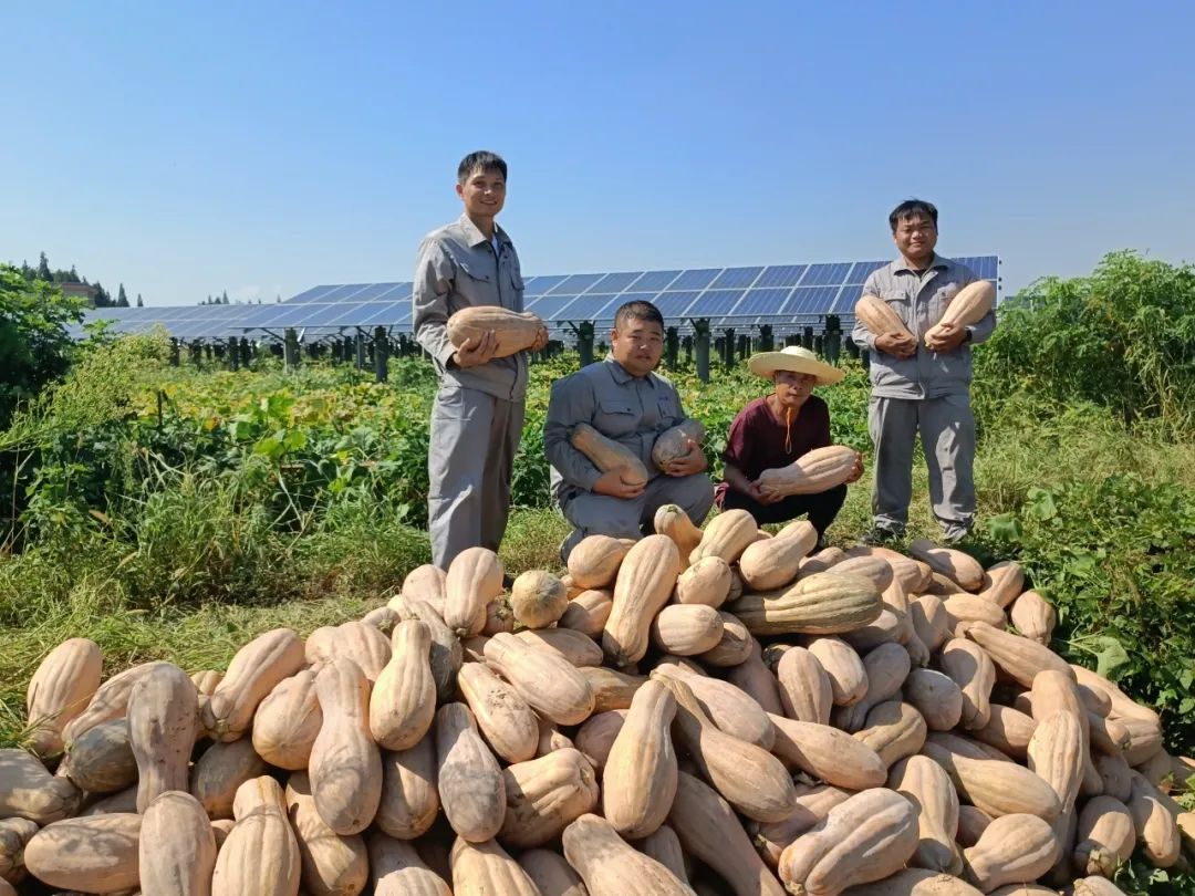 国家电投还能投吗,国家电投四个转型是什么