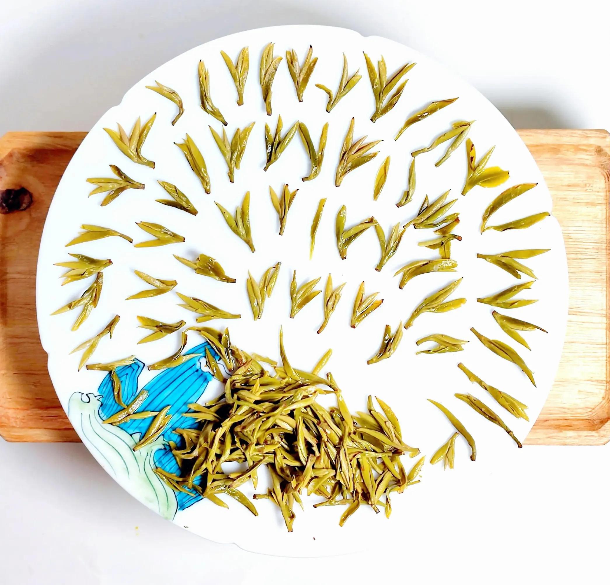 信阳毛尖茶和川茶,川茶和信阳毛尖的区别