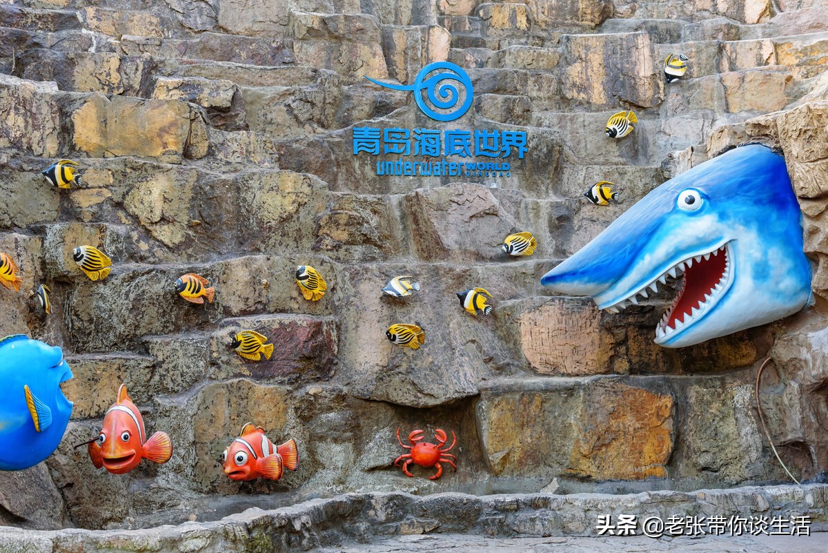 青岛新增11家免门票景区攻略,5月19号青岛有哪些景区免门票