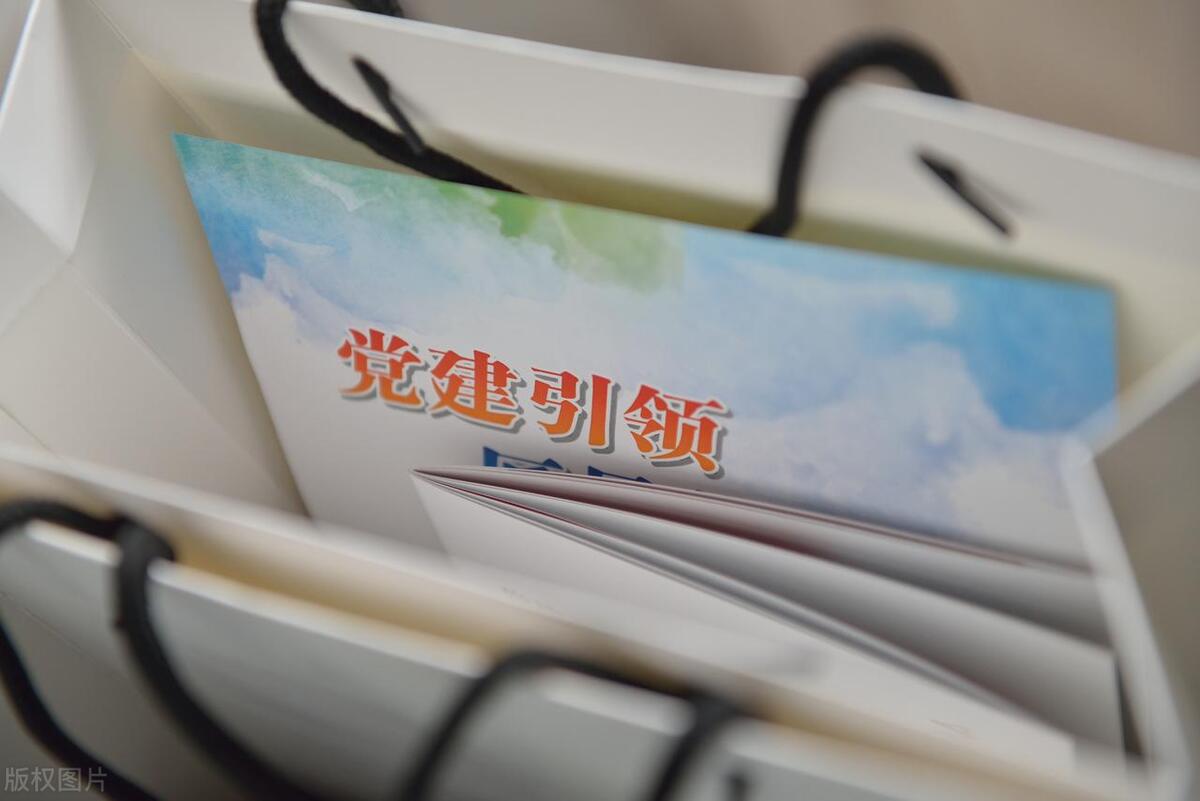 党建引领人才队伍建设交流发言,发挥党建引领促进人才队伍建设