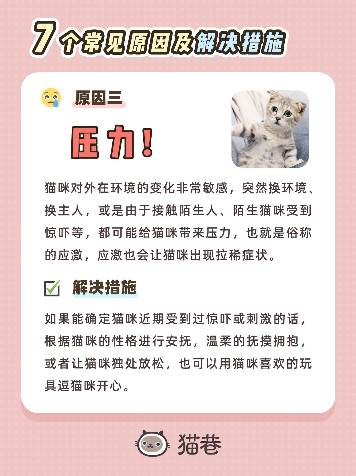 幼猫拉稀的解决办法是什么,幼猫拉稀一般什么原因