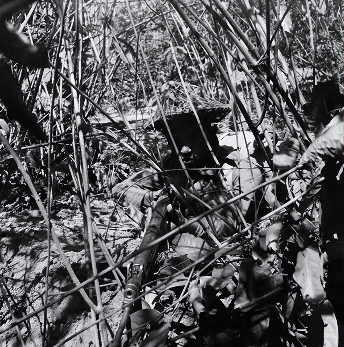 儒将齐学启：清华高材生，孙立人左膀右臂，被俘囚禁三年至死不降