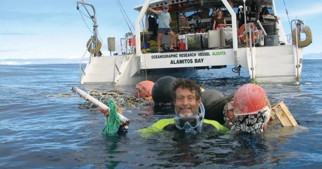 这个“垃圾大国”，真是让我开眼了