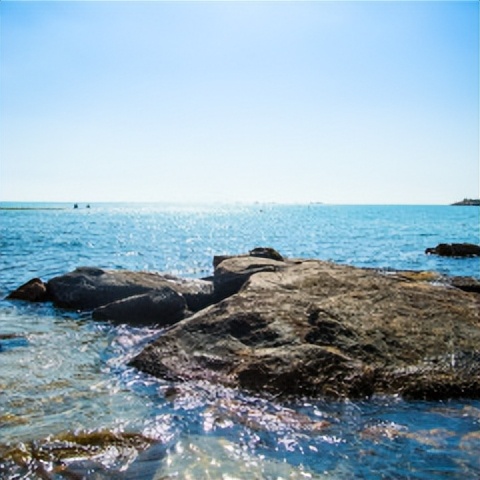 第一次去香港哪里打卡,第一次去香港玩必去的景点