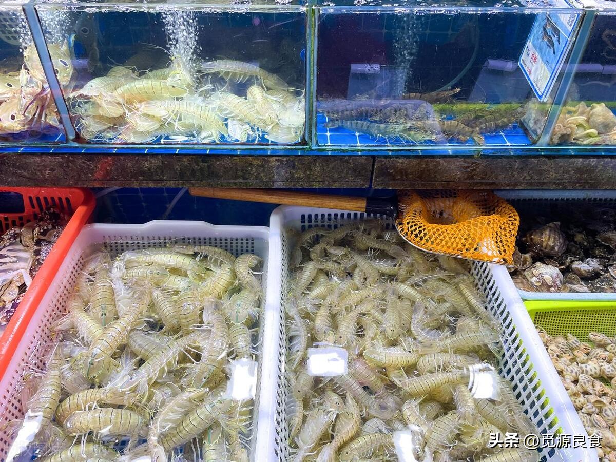 皮皮虾什么季节肉多,皮皮虾是不是皮多肉少