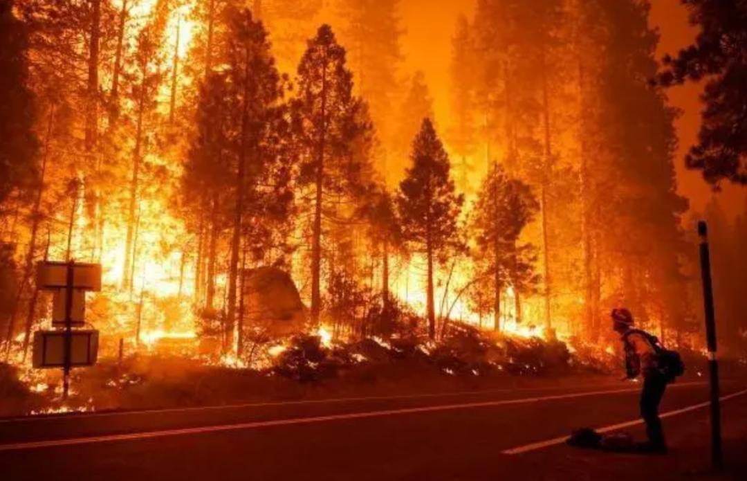 如果掉入钢水会怎么样,人落入钢水里会怎么样