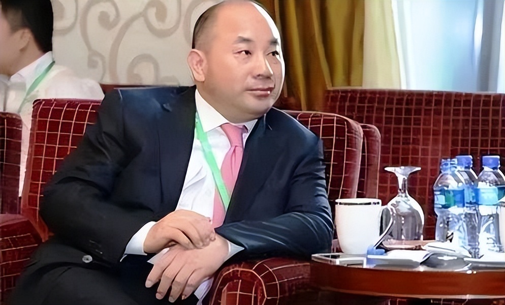 首富王文银,王文银亿万富翁