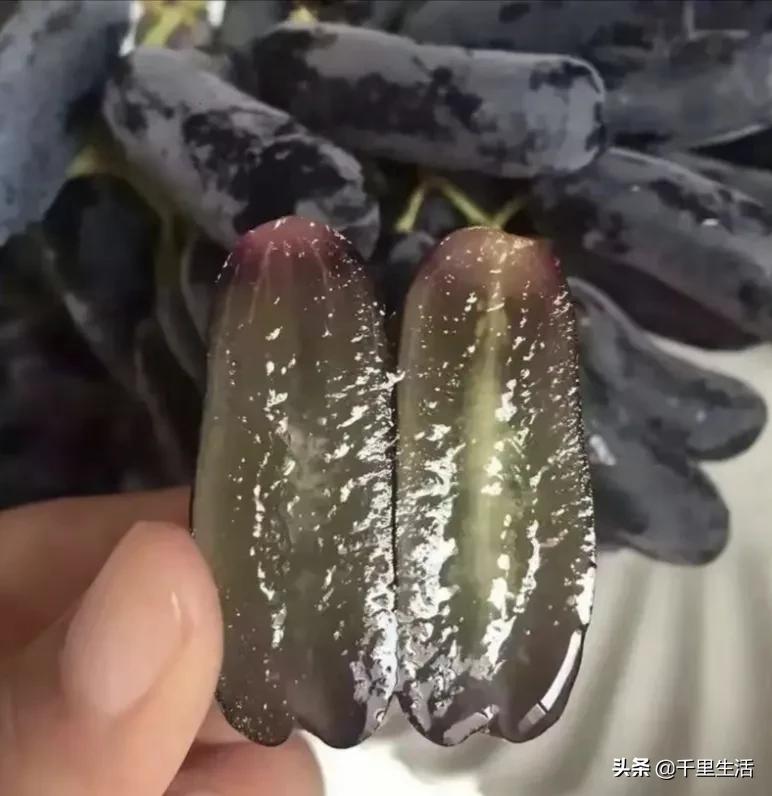 金手指葡萄提子,金手指蓝宝石葡萄无籽提子