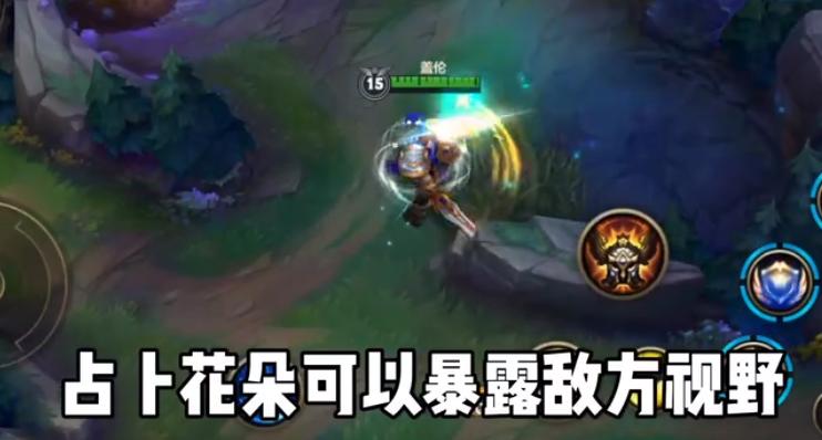 lol手游针对性出装,lol手游种子罐辅助装